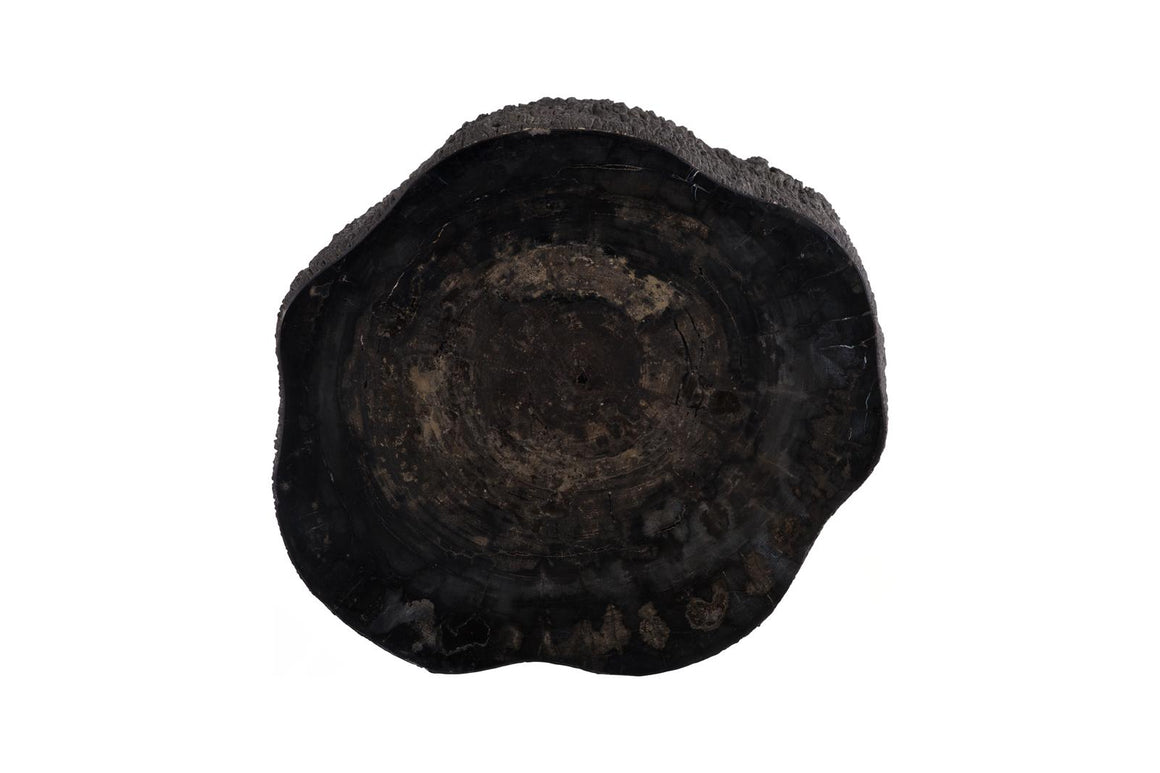 Chaka Petrified Coffee Table, Rough, Black, Large