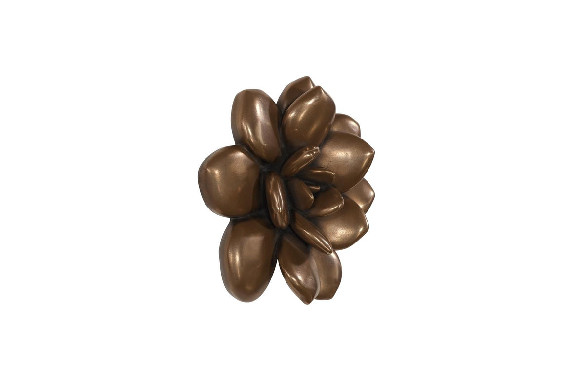 Laui Succulent Wall Art, Imperial Bronze