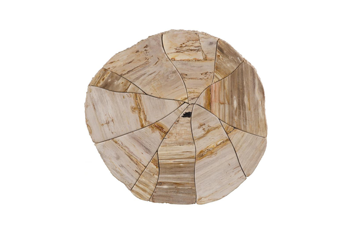 Converge Petrified Coffee Table, Rough, Cream