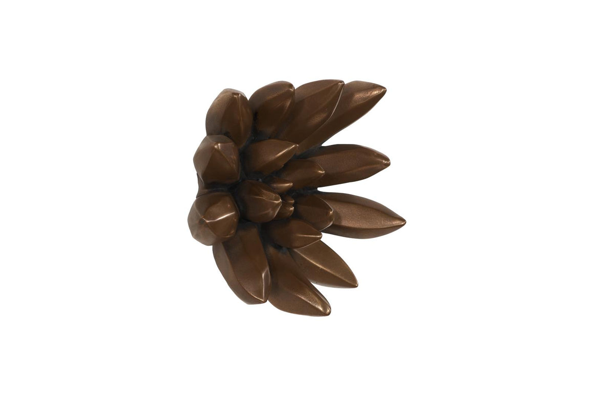 Compactum Succulent Wall Art, Imperial Bronze