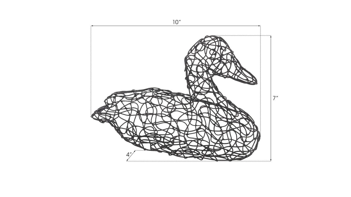 Crazy Wire Duck