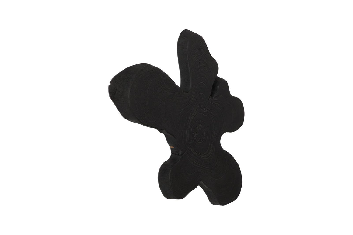Freeform Teak Wall Slice, MD, Black