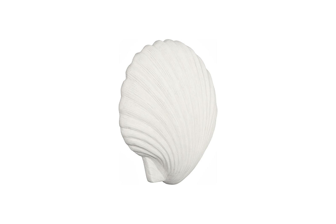 Sea Shell Wall Art, White Stone