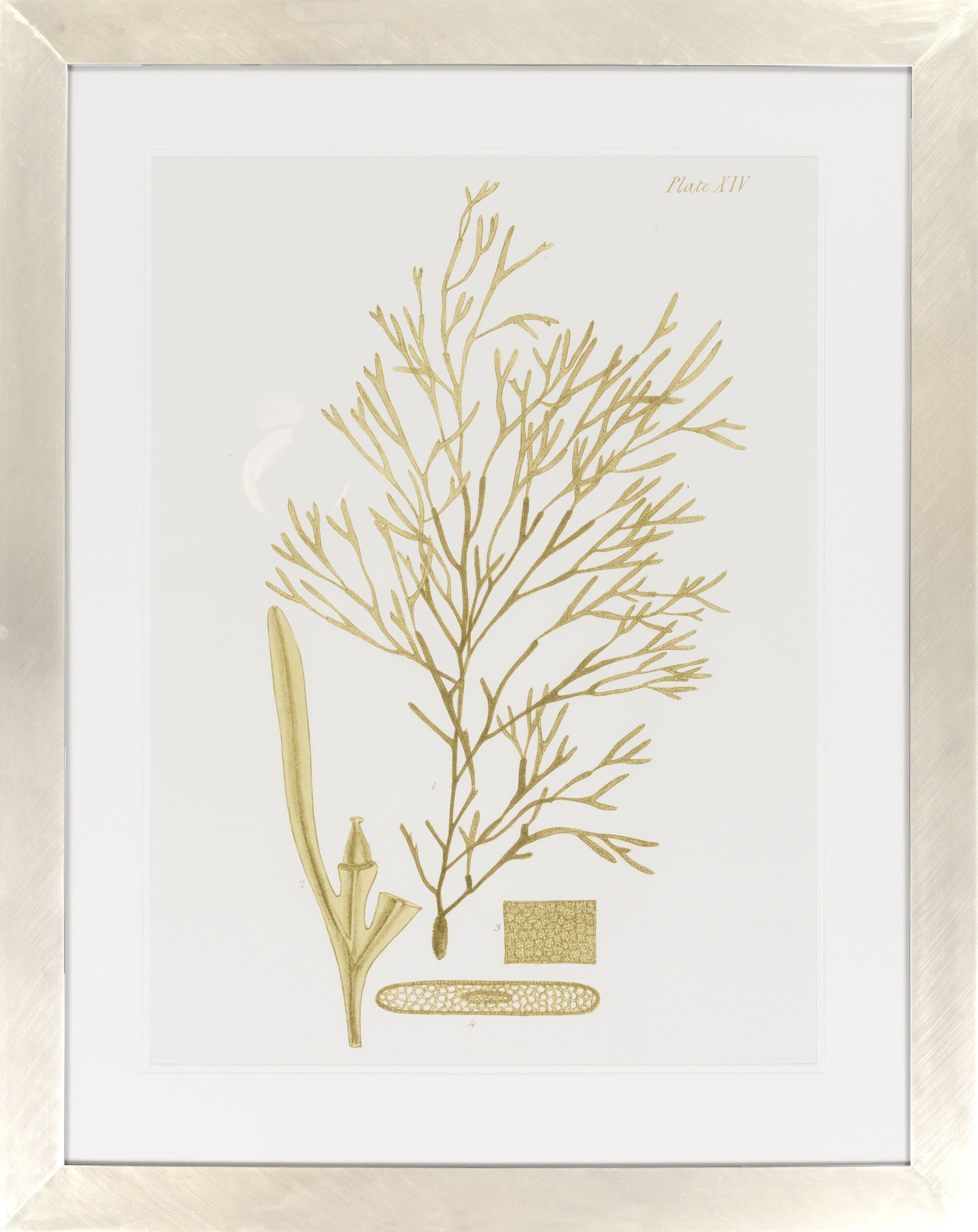 Surya Surya Wall Decor LJ-4009 Framed Art