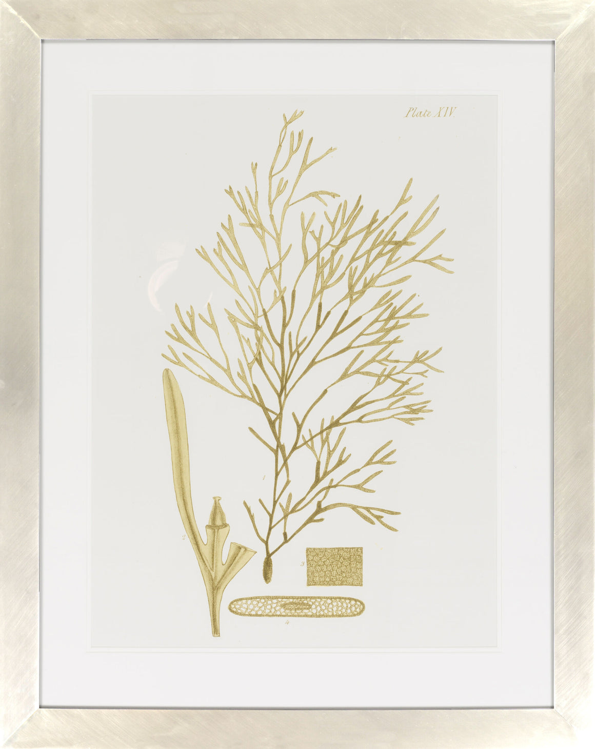 Surya Surya Wall Decor LJ-4009 Framed Art