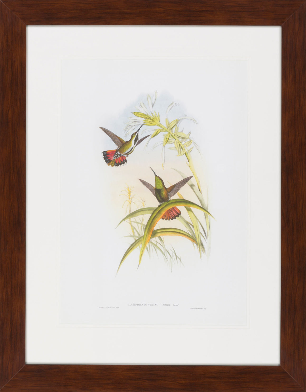 Surya Surya Wall Decor LJ-4012 Framed Art