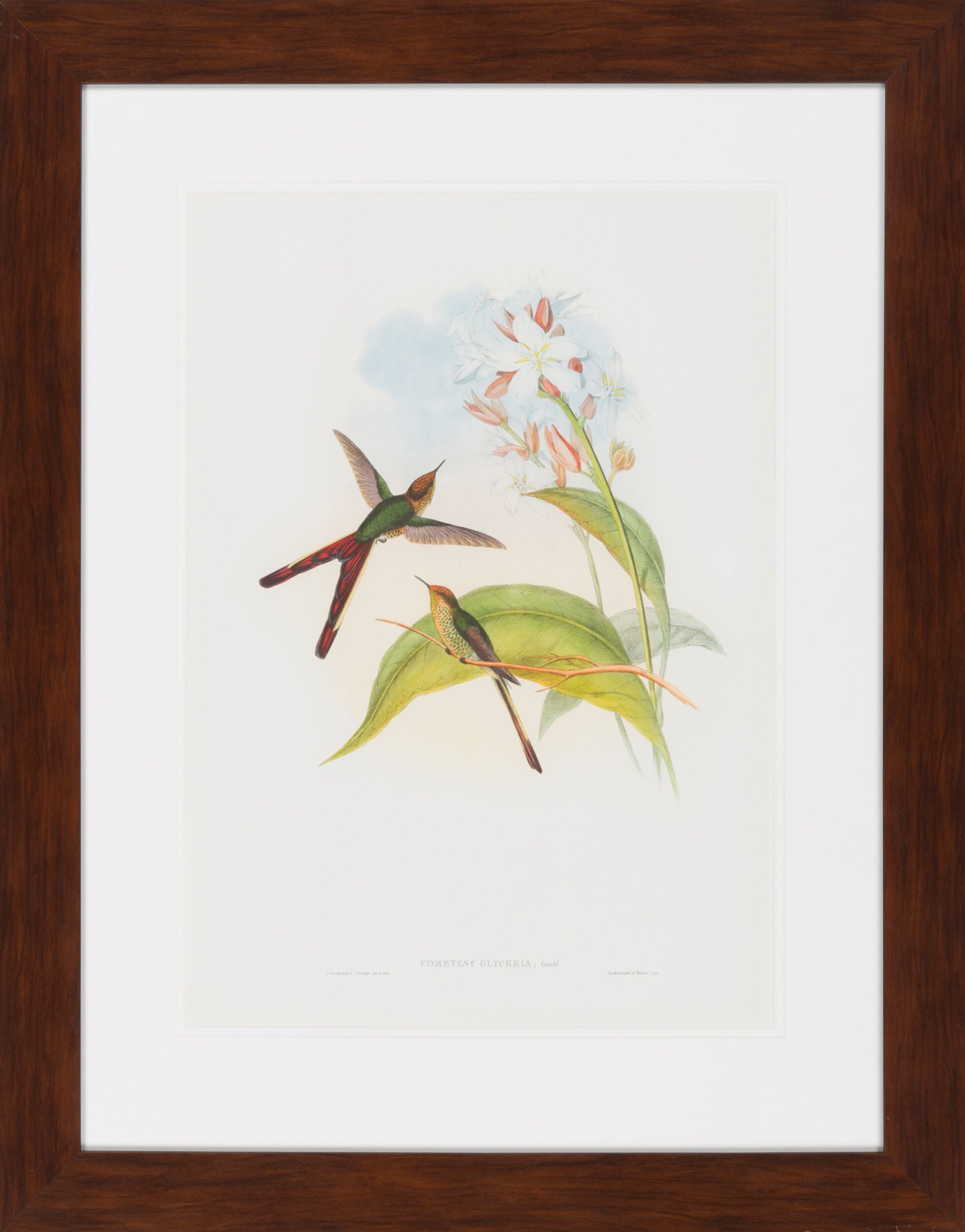 Surya Surya Wall Decor LJ-4013 Framed Art