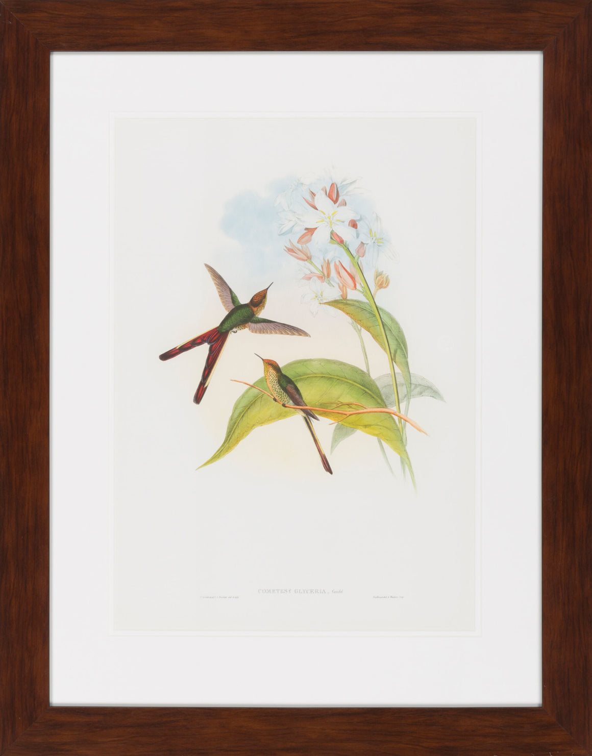 Surya Surya Wall Decor LJ-4013 Framed Art