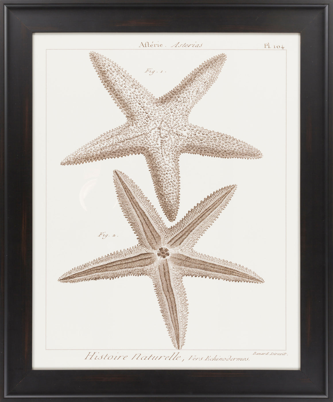 Surya Surya Wall Decor LJ-4024 Framed Art