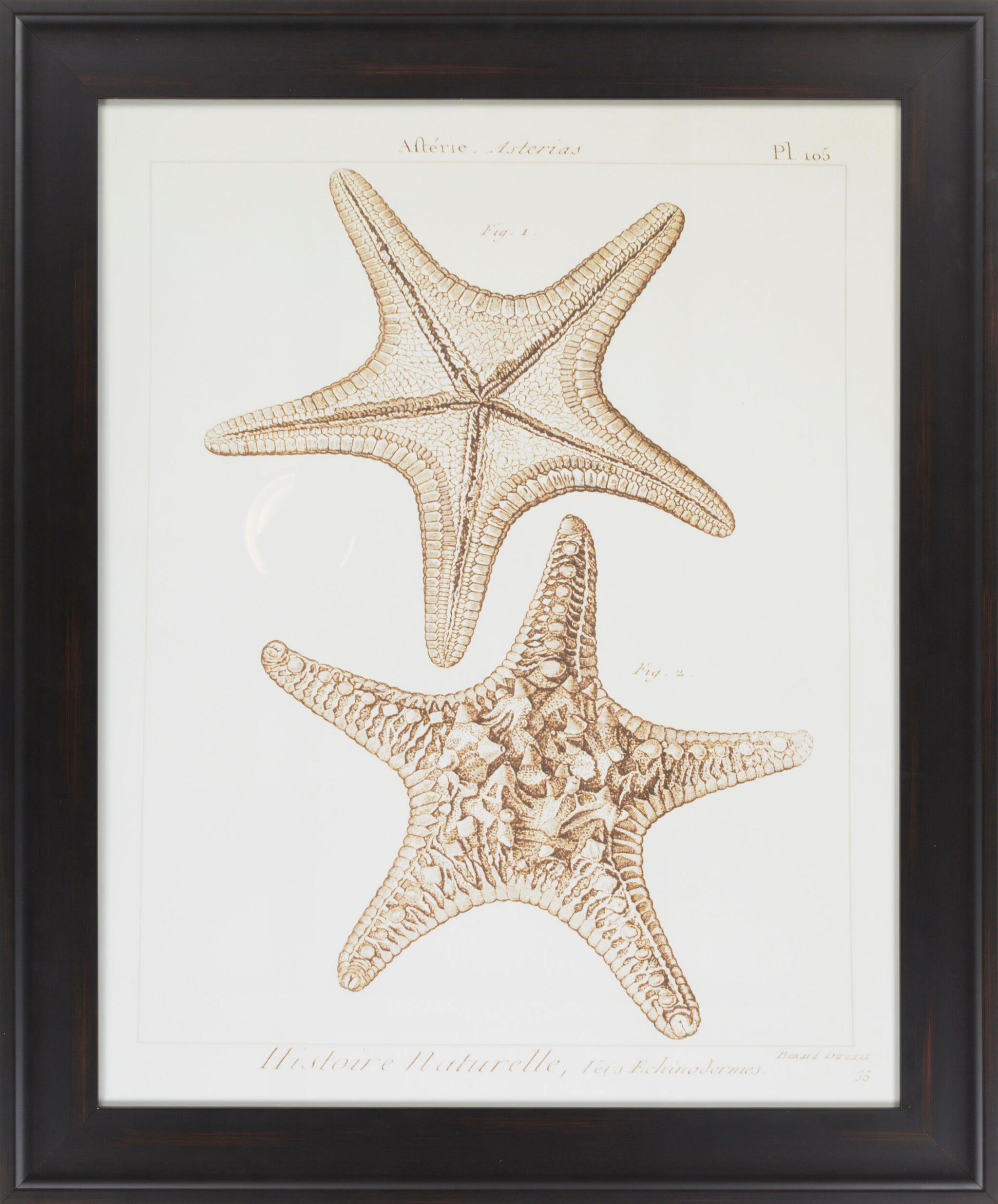 Surya Surya Wall Decor LJ-4025 Framed Art