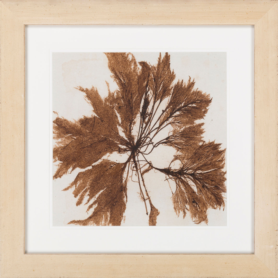 Surya Surya Wall Decor LJ-4035 Framed Art