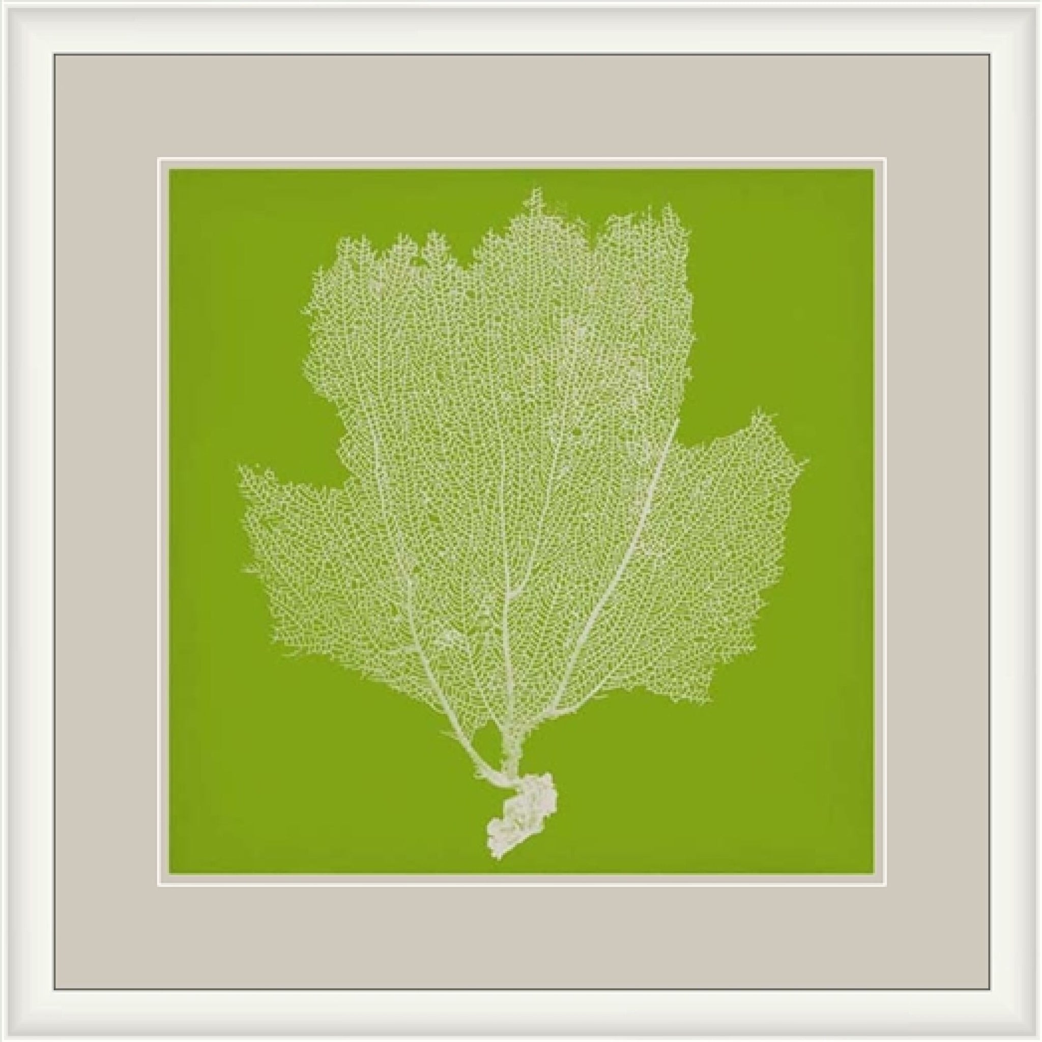 Surya Surya Wall Decor LJ-4237 Framed Art