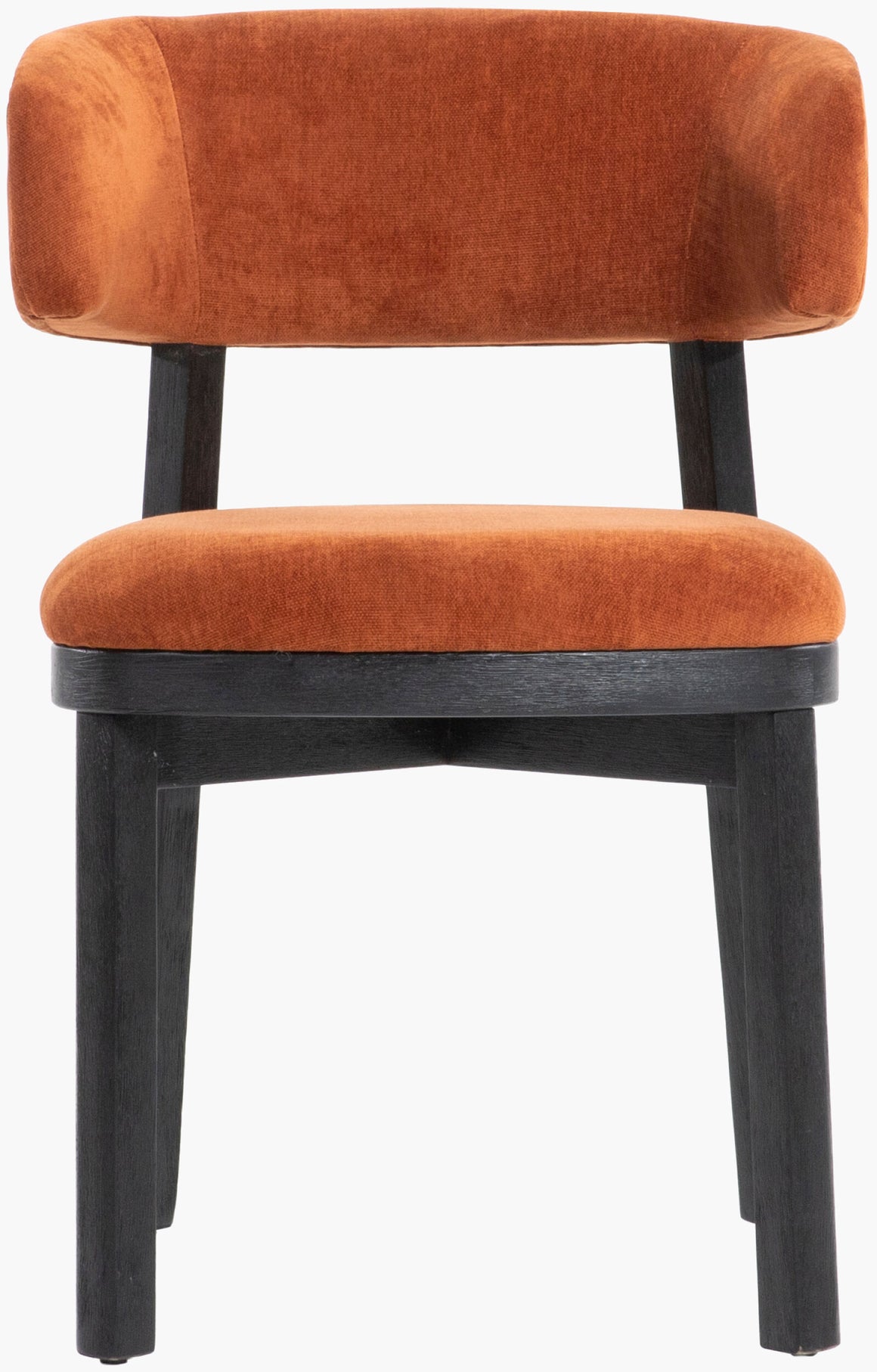 Surya Lindo LND-001 Dining Chair