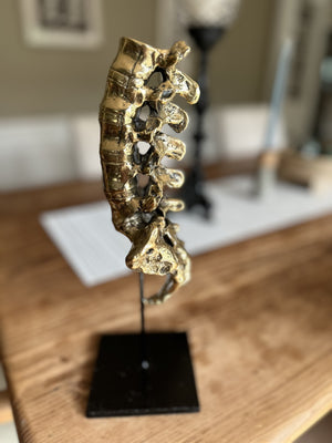 Noir Vertebrae - Brass and Metal