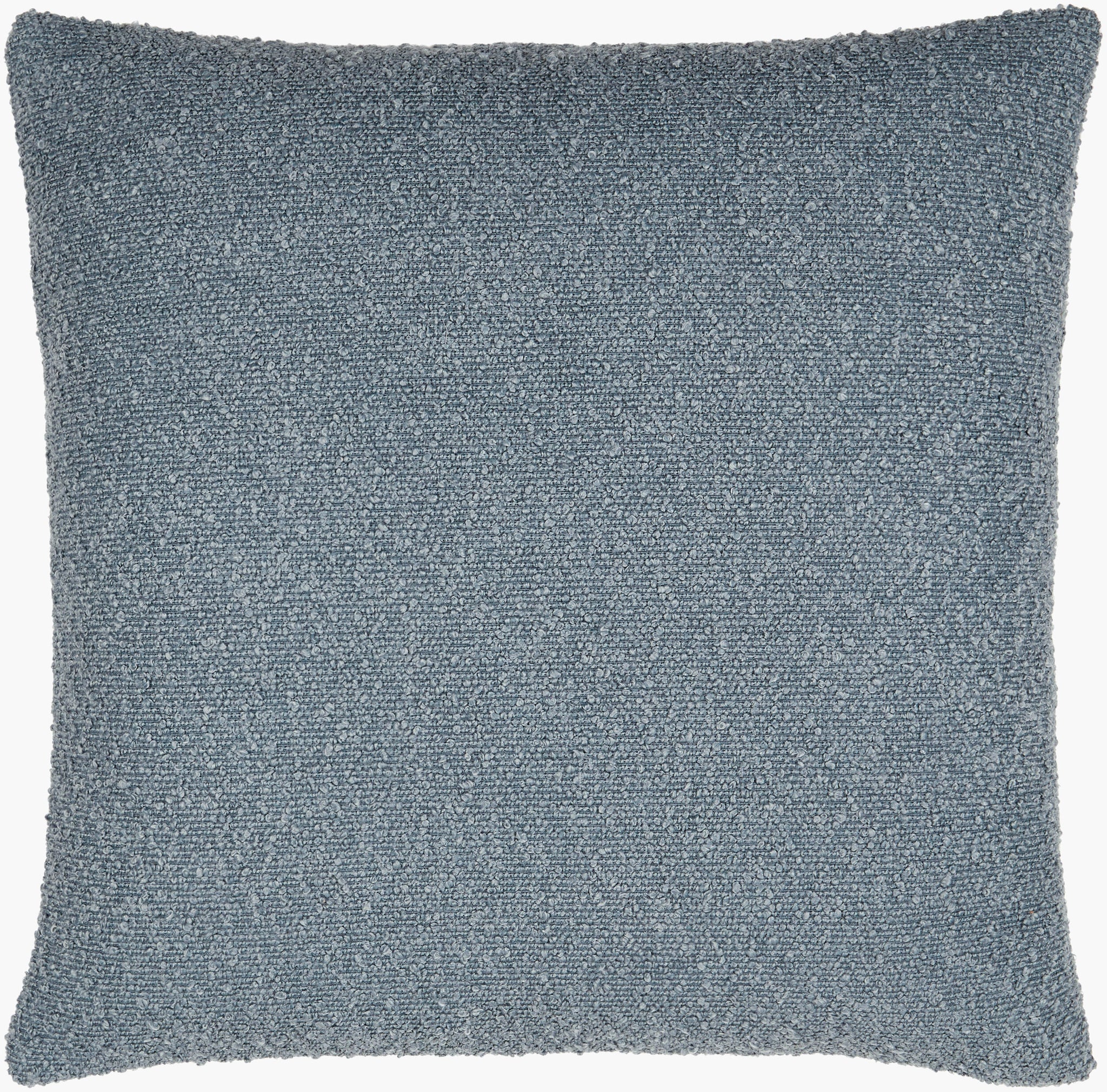 Surya Olinda OIN-012 Accent Pillow