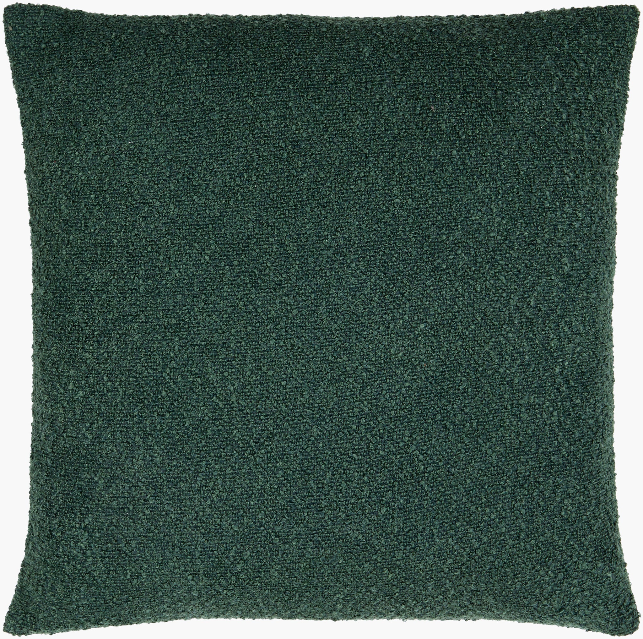 Surya Olinda OIN-013 Accent Pillow