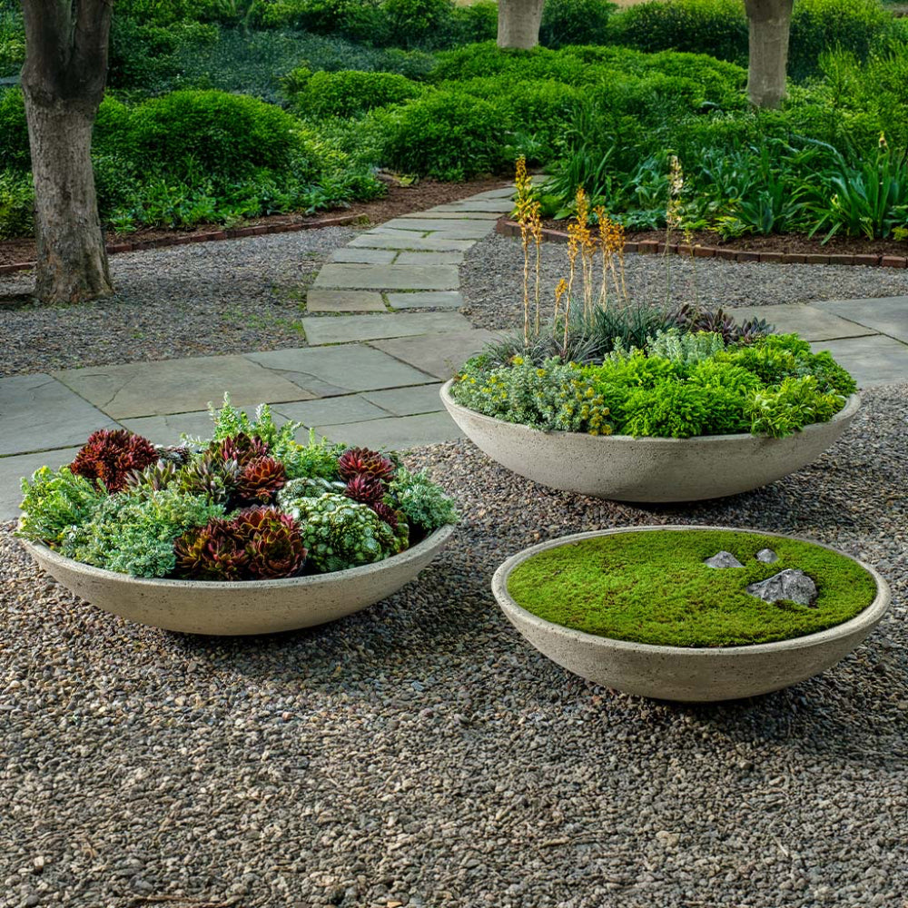 Three cast stone bowl planters with greenery and moss on a gravel path