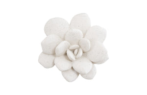 Laui Succulent Wall Art, White Stone