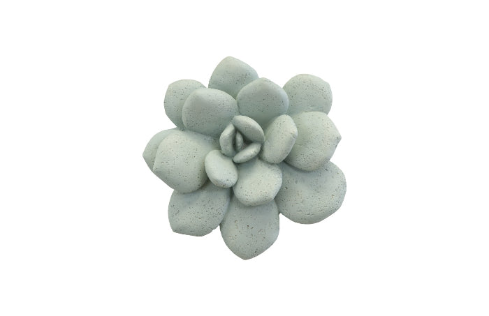 Laui Succulent Wall Art, Sage