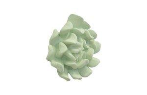 Topsy Turvy Succulent Wall Art, Jade