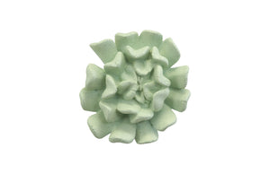 Topsy Turvy Succulent Wall Art, Jade