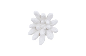 Compactum Succulent Wall Art, White Stone