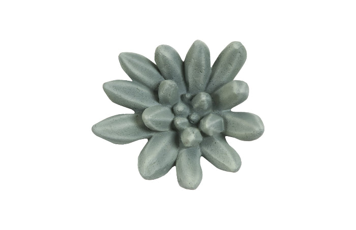 succulent wall art hobby lobby Compactum Succulent Wall Art, Forest