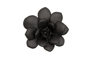 Laui Succulent Wall Art, Smooth Matte Black