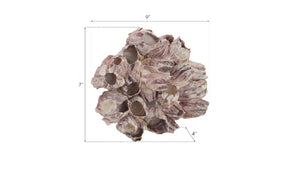 Barnacle Cluster Wall Art, LG