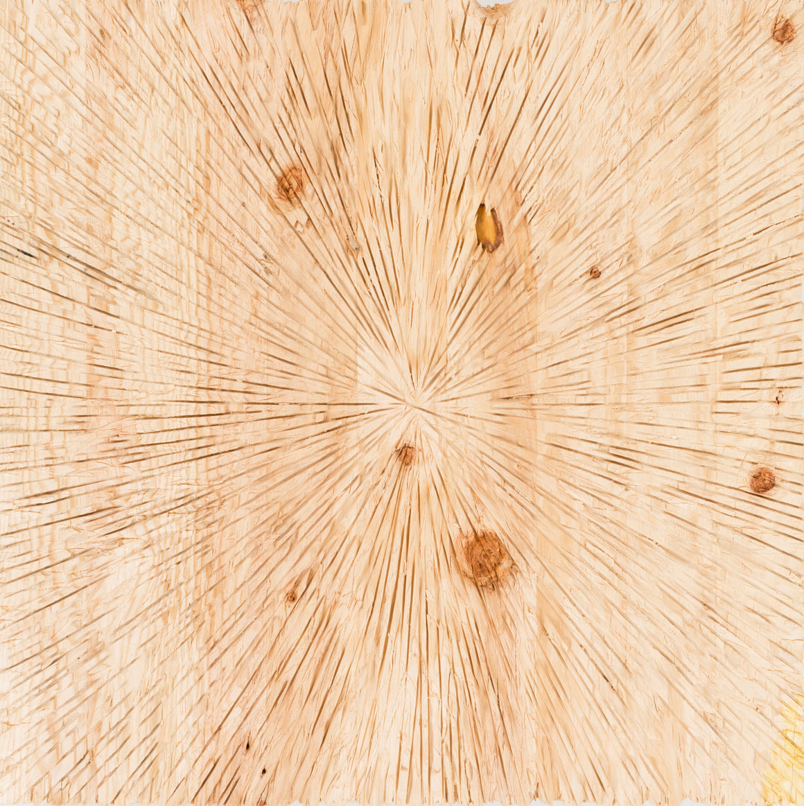 Surya Surya Wall Decor PLM-8000 Dimensional Wall Accent