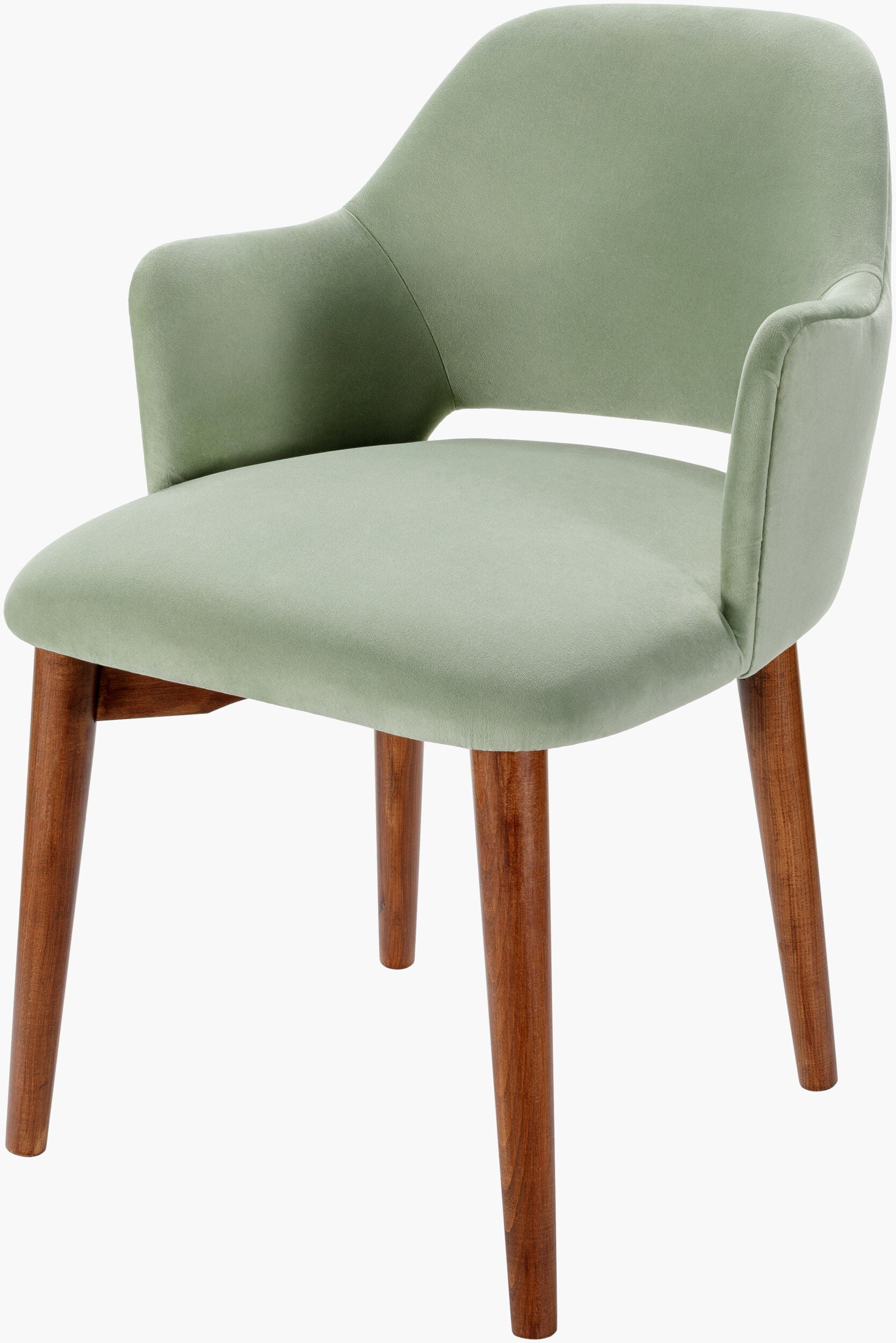 Surya Payette PYTE-001 Dining Chair