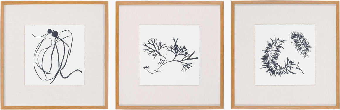 Surya Sumerian RUS-001 Framed Art