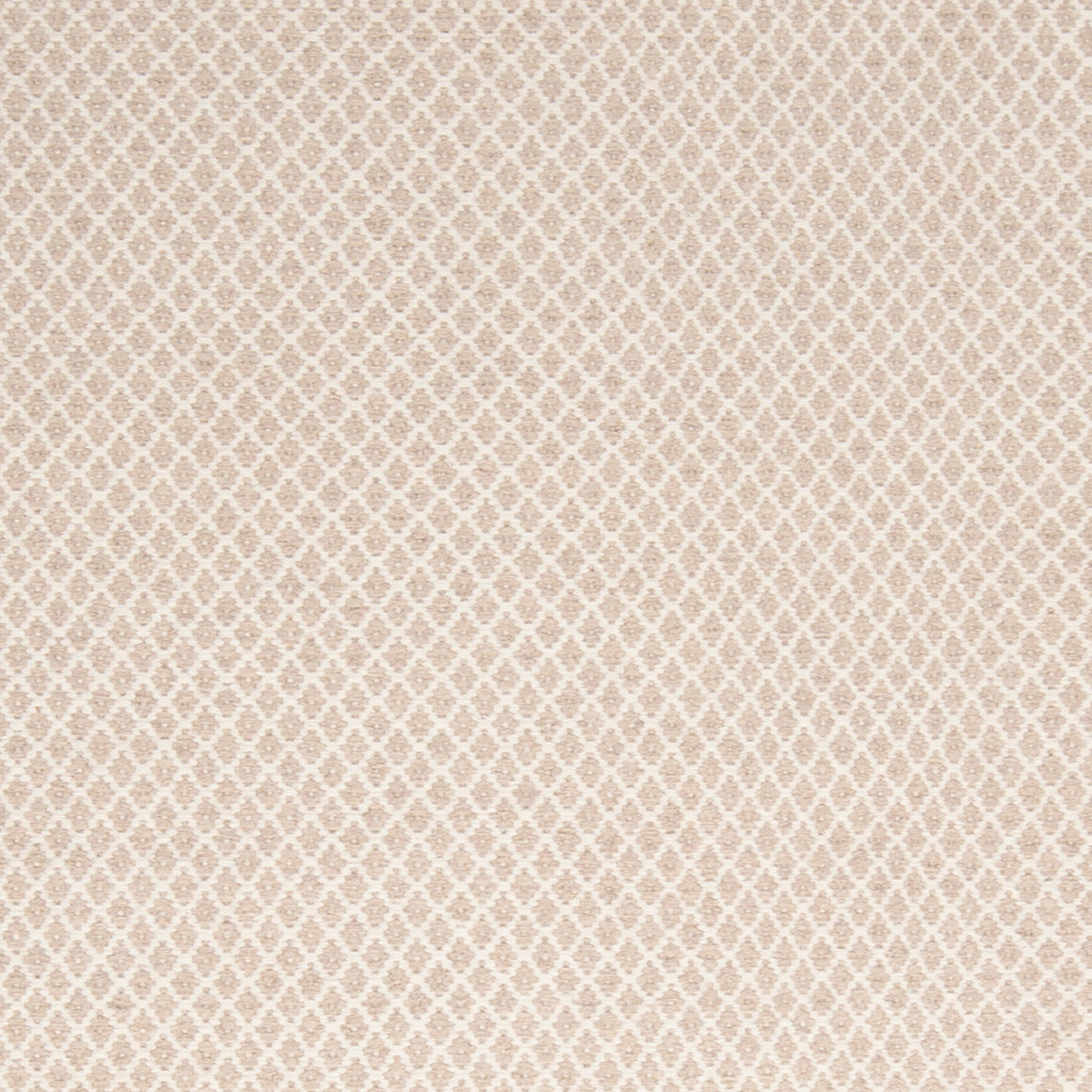 Surya Ravena RVN-3000 Handmade Rug
