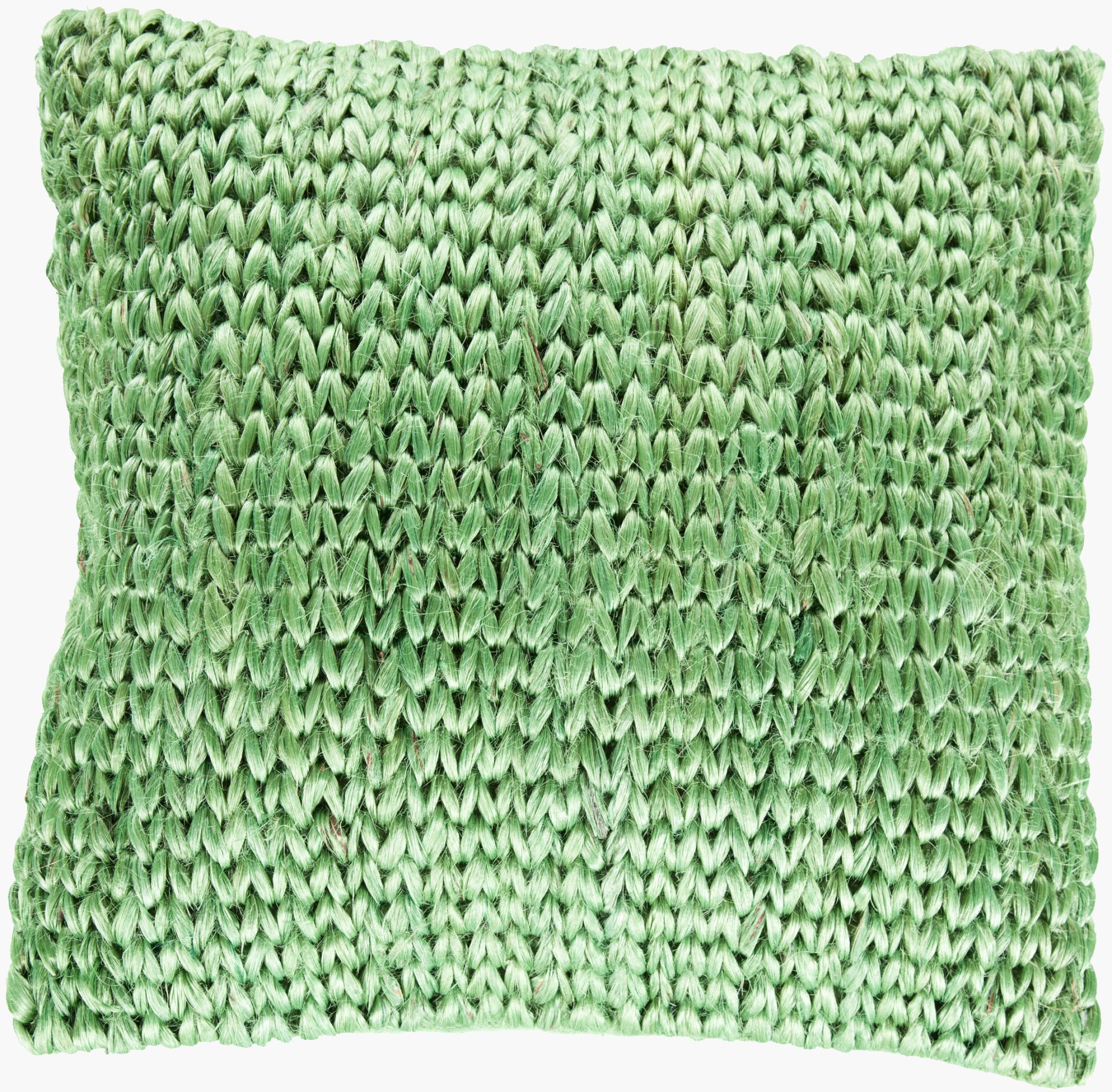 Surya Tropics SC-001 Accent Pillow