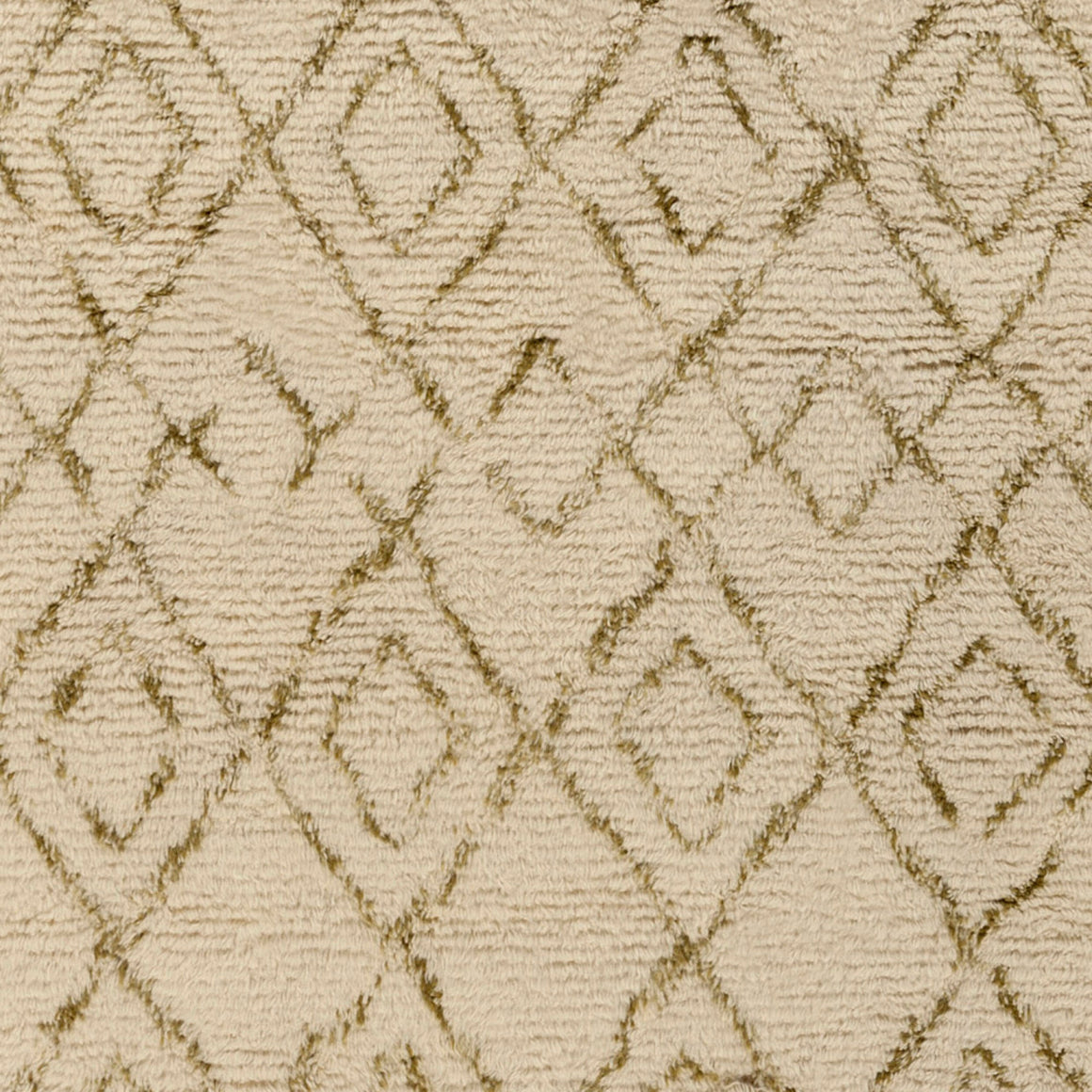 Surya Tasman TAS-4502 Handmade Rug