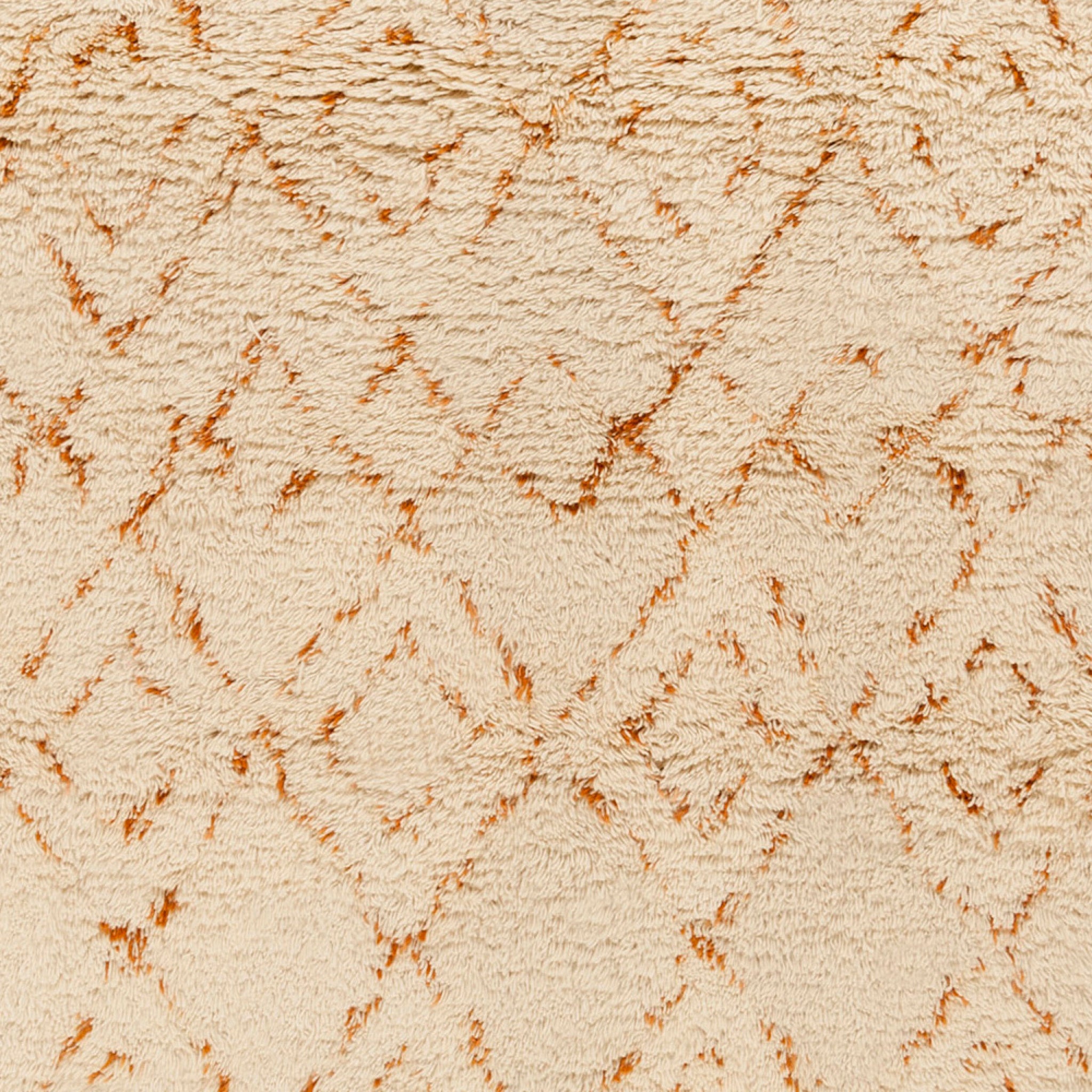 Surya Tasman TAS-4504 Handmade Rug