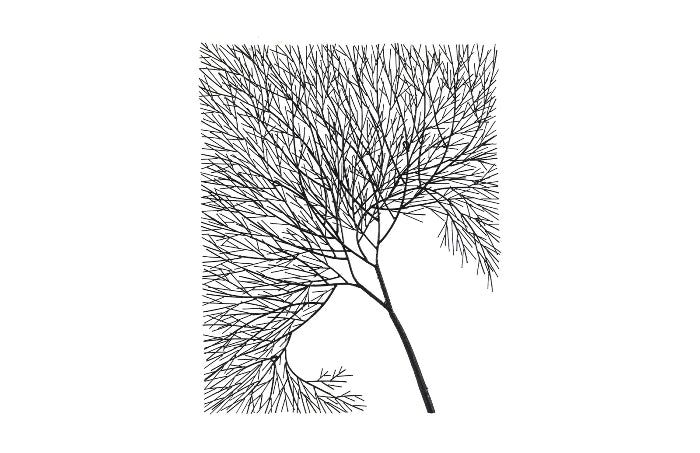 Wire Tree Wall Art, Rectangular, Metal, Black