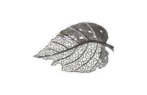 Birch Leaf Wall Art, Silver, MD