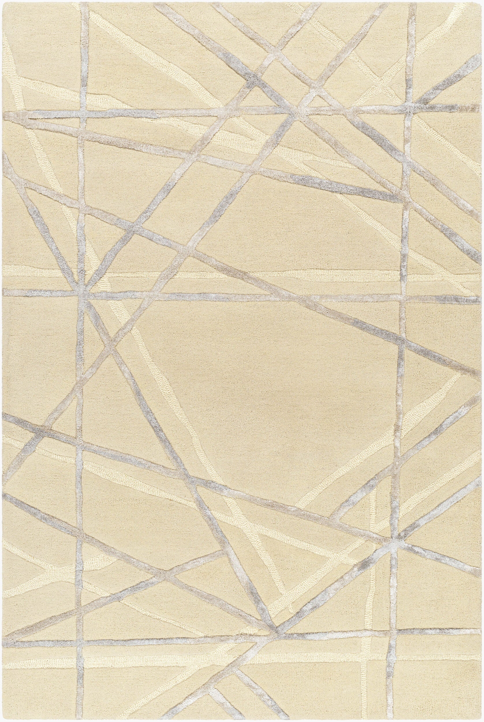 Surya Tallinn TNL-2307 Handmade Rug