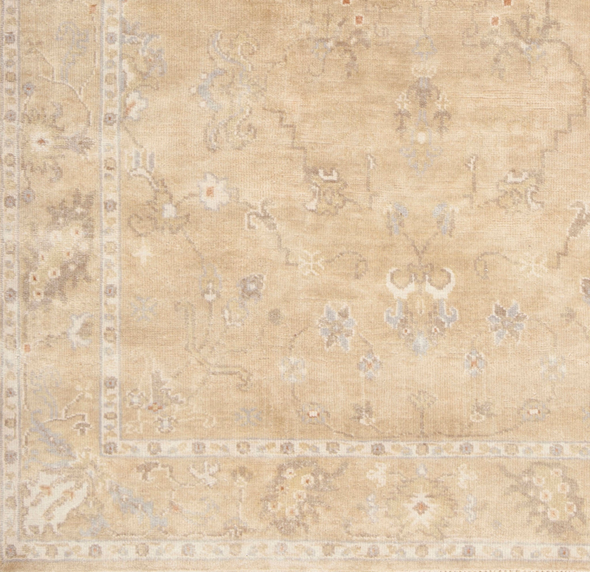 Surya Transcendent TNS-9002 Handmade Rug