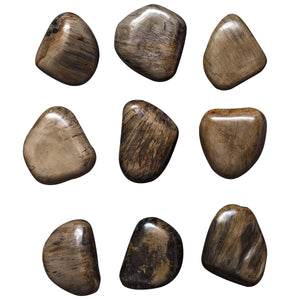 Pebbles Walnut Wood Wall Décor, S/9