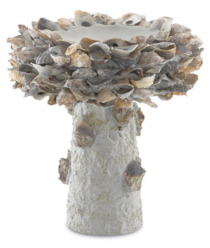 Currey and Company Oyster Shell Small, Medium Bird Bath