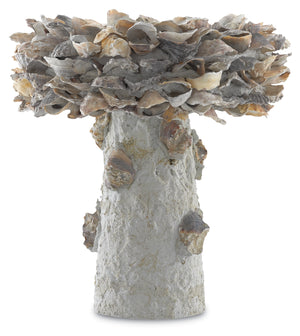 Currey and Company Oyster Shell Small, Medium Bird Bath