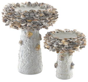 Currey and Company Oyster Shell Small, Medium Bird Bath