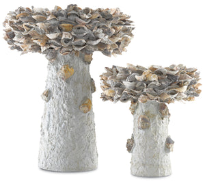 Currey and Company Oyster Shell Small, Medium Bird Bath