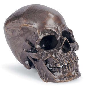 Regina Andrew Aluminum Decorative Skull - Bronze