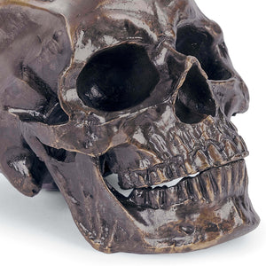 Regina Andrew Aluminum Decorative Skull - Bronze