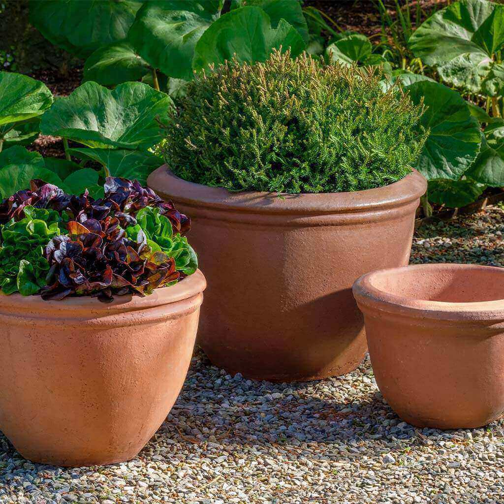Natural Rustic Terra Cotta Planters with Flared Rim - Set of 3