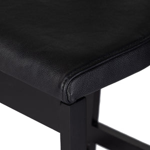 Tex Stool-Black Rosa Morada Counter Stool