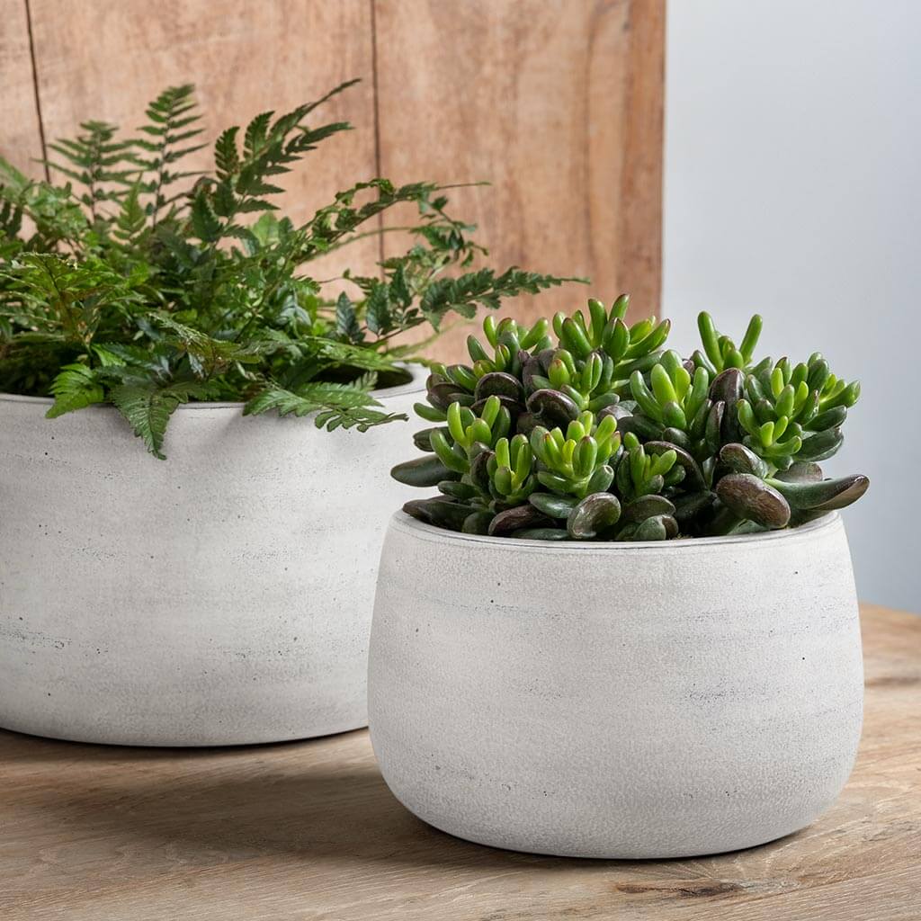 Whitewash Terra Cotta Indoor Bowl Planters - Set of 2
